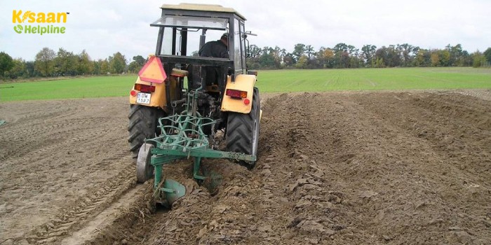 रबी फसलों की कटाई के बाद किसान खेतों की करें गहरी जुताई,  कृषी वैज्ञानिकों ने जारी की ये एडवाइजरी 